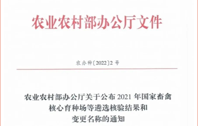 20220413162783898389