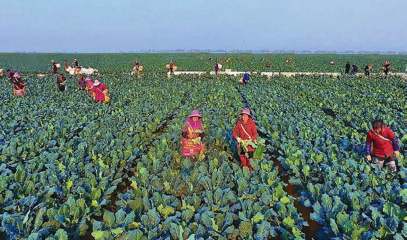 Ӣ��������ϣ��(WilliamHill)���Ĺٷ���վ