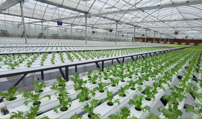 Ӣ��������ϣ��(WilliamHill)���Ĺٷ���վ