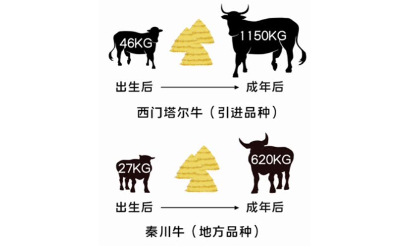 Ӣ��������ϣ��(WilliamHill)���Ĺٷ���վ