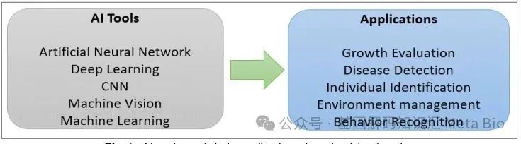 Ӣ��������ϣ��(WilliamHill)���Ĺٷ���վ