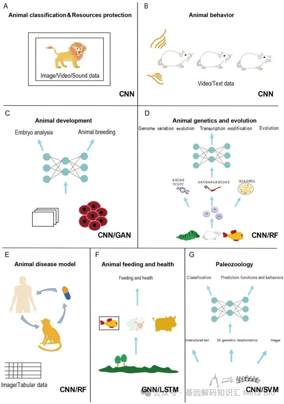 Ӣ��������ϣ��(WilliamHill)���Ĺٷ���վ